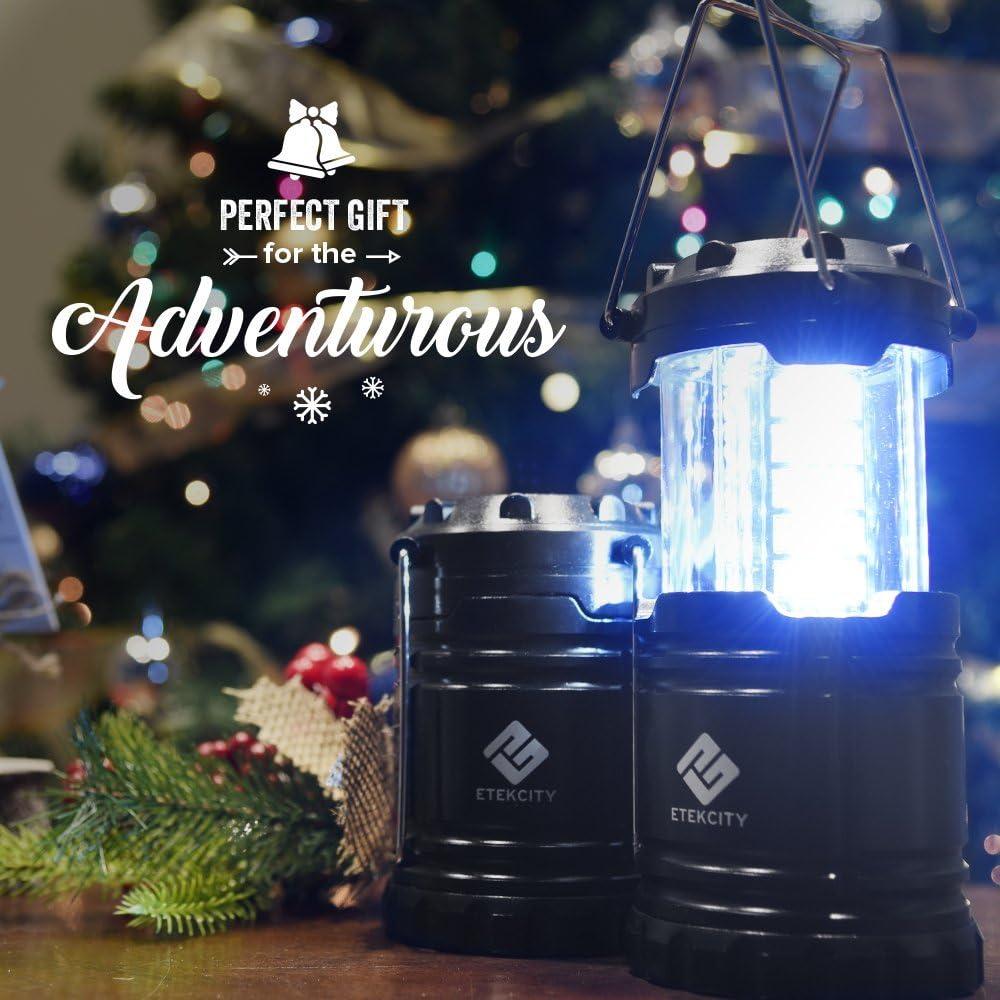 Etekcity Camping Lanterns for Power Outages 4 Pack, Flashlight for Camping Essentials, Survival Kit and Gear, Hurricane Preparedness Items, Emergency Led Battery Operated Lights, Black(2 Pack)